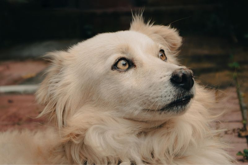 Comment bâtir un historique de crédit à partir de zéro : guide complet, clair et efficace