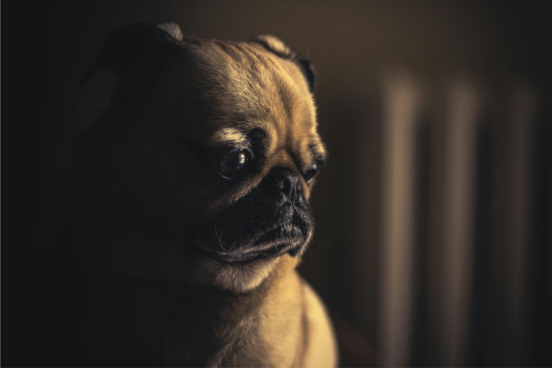 Refinancement hypothécaire avec une cote de crédit faible : est-ce possible ?