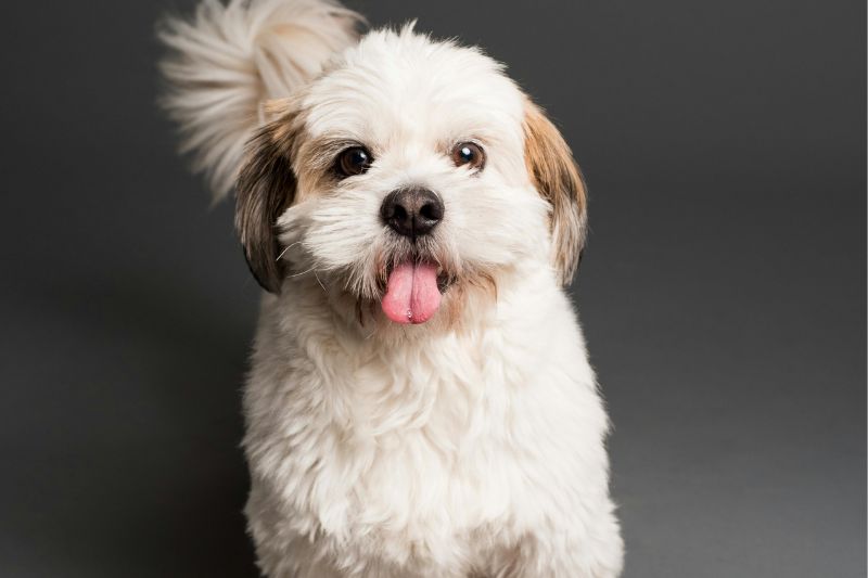 Peut-on obtenir un refinancement hypothécaire malgré un dossier de crédit affaibli ?